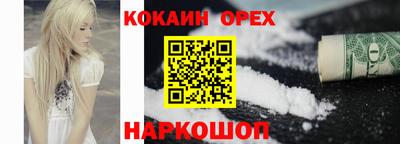 стафф Кингисепп