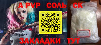 стафф Кингисепп