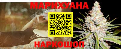 стафф Кингисепп
