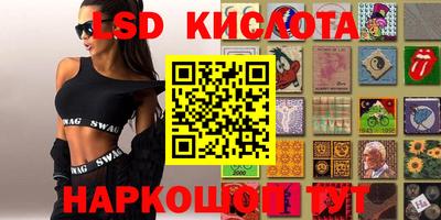 стафф Кингисепп