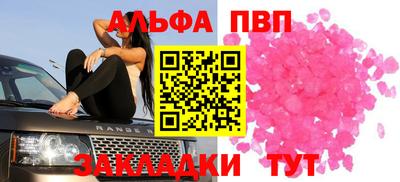 стафф Кингисепп
