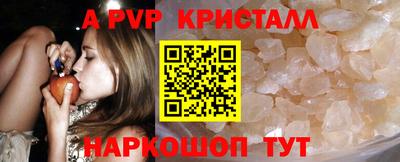 стафф Кингисепп