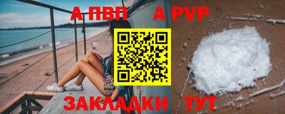 стафф Кингисепп