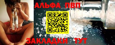 стафф Кингисепп