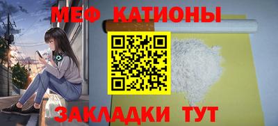 стафф Кингисепп