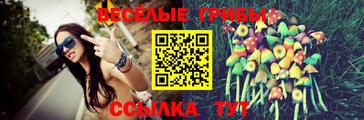 Арсеньев  Галлюциногенные грибы MAGIC MUSHROOMS  Псилоцибиновые грибы мухоморы  Вход с VPN 